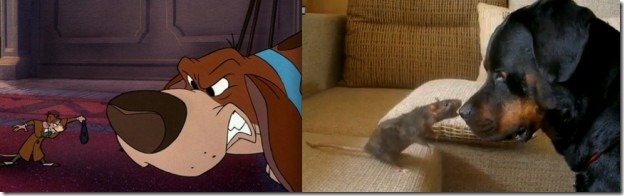 Животные "Диснея" в реальной жизни | Бэйбики Животные "Диснея" в реальной жизни (фото 10)