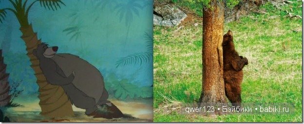 Животные "Диснея" в реальной жизни | Бэйбики Животные "Диснея" в реальной жизни (фото 8)