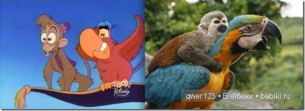 Животные "Диснея" в реальной жизни | Бэйбики Животные "Диснея" в реальной жизни