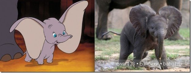Животные "Диснея" в реальной жизни | Бэйбики Животные "Диснея" в реальной жизни (фото 2)
