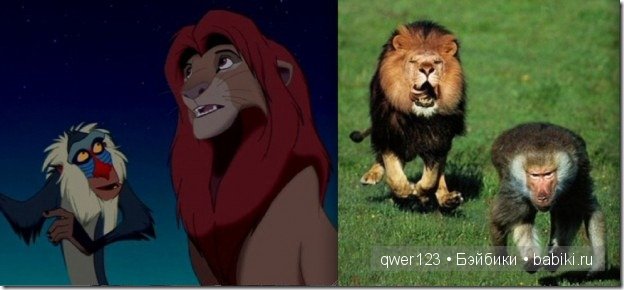 Животные "Диснея" в реальной жизни | Бэйбики Животные "Диснея" в реальной жизни