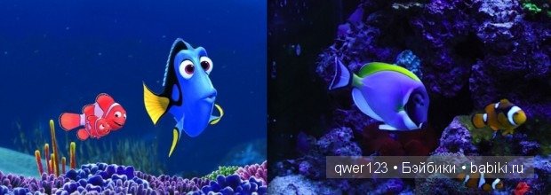 Животные "Диснея" в реальной жизни | Бэйбики Животные "Диснея" в реальной жизни