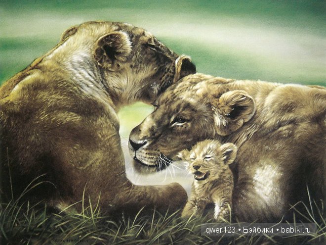 Пастельная живопись от американской художницы Лесли Харрисон (Lesley Harrison)