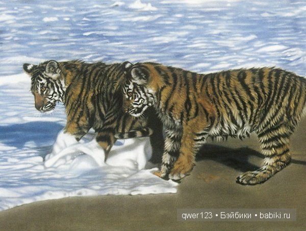 Пастельная живопись от американской художницы Лесли Харрисон (Lesley Harrison)