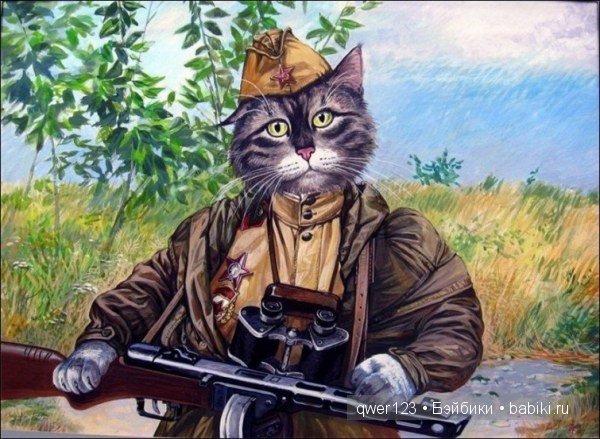 "Эпические коты" от Александра Завалий