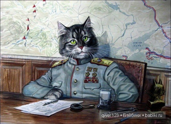 "Эпические коты" от Александра Завалий