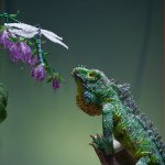 Удивительные скульптуры из бисера от Жанны Васильевой