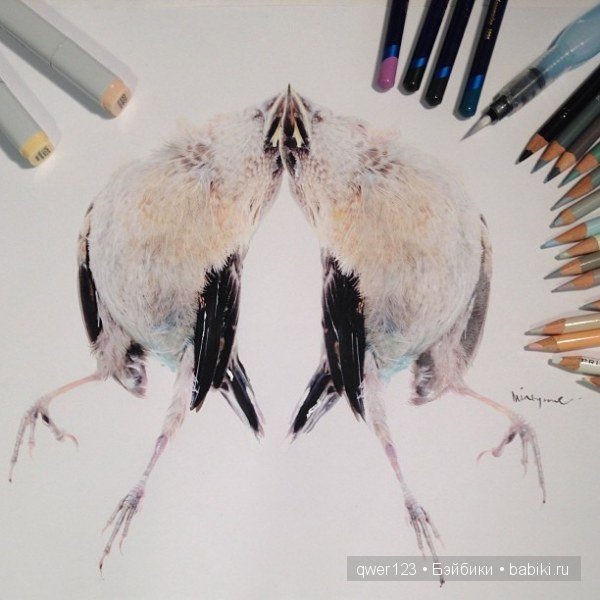 Бесподобные реалистичные рисунки Карлы Миалинн (США)