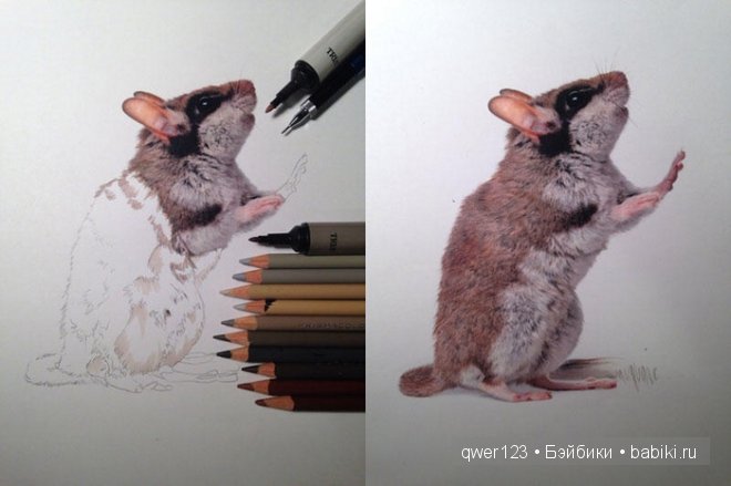 Бесподобные реалистичные рисунки Карлы Миалинн (США) (фото 5)