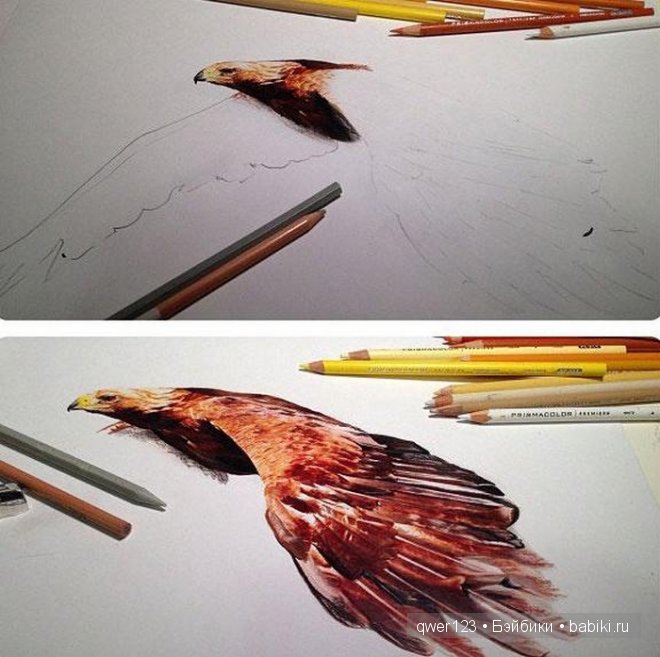 Бесподобные реалистичные рисунки Карлы Миалинн (США) (фото 8)