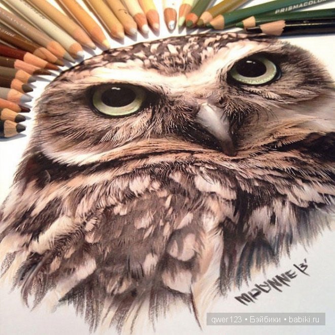 Бесподобные реалистичные рисунки Карлы Миалинн (США) (фото 10)