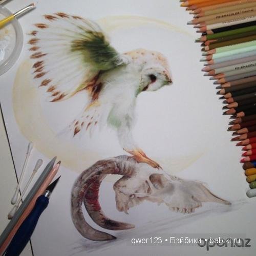 Бесподобные реалистичные рисунки Карлы Миалинн (США)