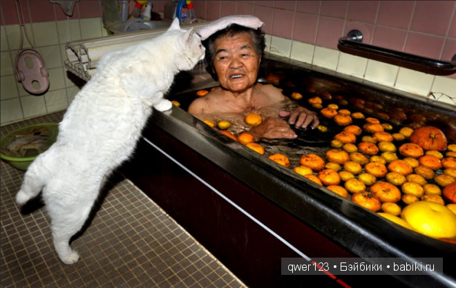 Фотоистория. «Большая мамочка Мисао и Кот Фукумару» от Миеко Ихары (Япония) (фото 4)