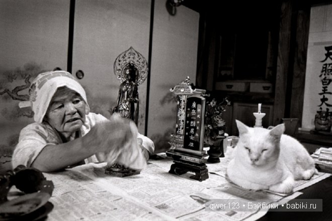 Фотоистория. «Большая мамочка Мисао и Кот Фукумару» от Миеко Ихары (Япония) (фото 8)