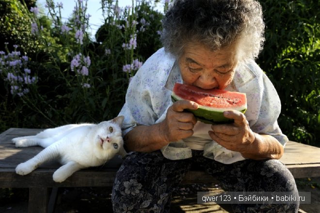 Фотоистория. «Большая мамочка Мисао и Кот Фукумару» от Миеко Ихары (Япония)