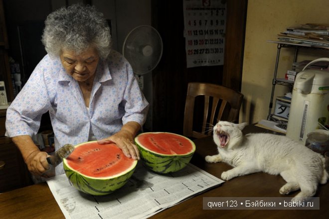 Фотоистория. «Большая мамочка Мисао и Кот Фукумару» от Миеко Ихары (Япония) (фото 10)