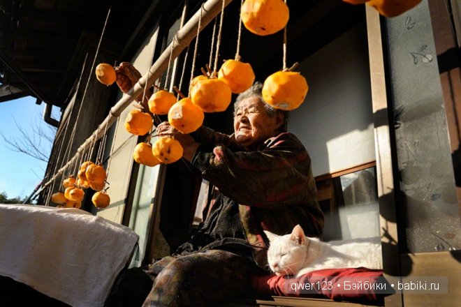 Фотоистория. «Большая мамочка Мисао и Кот Фукумару» от Миеко Ихары (Япония)