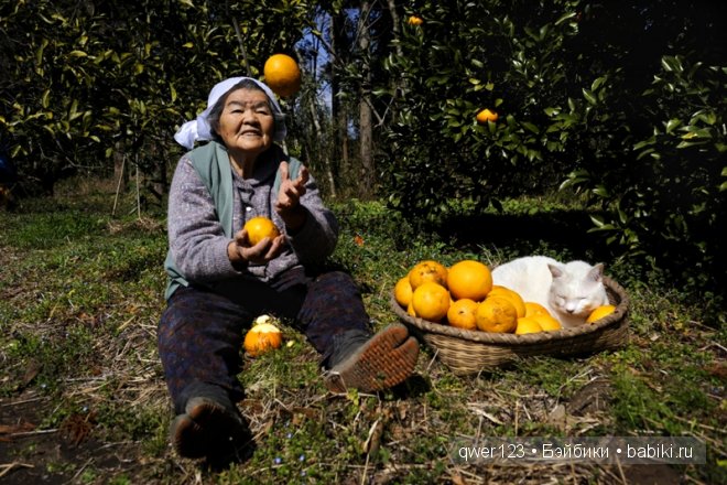 Фотоистория. «Большая мамочка Мисао и Кот Фукумару» от Миеко Ихары (Япония) (фото 3)