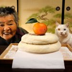 Фотоистория. «Большая мамочка Мисао и Кот Фукумару» от Миеко Ихары (Япония)