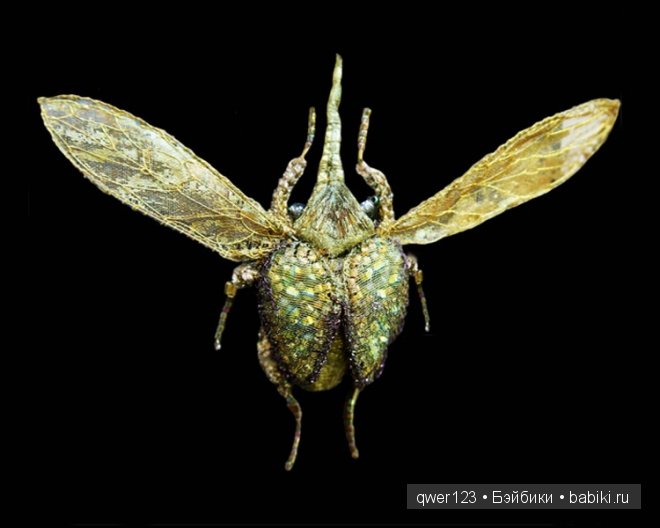 Изумительная вышивка Michele Carragher | Бэйбики Изумительная вышивка Michele Carragher (фото 2)