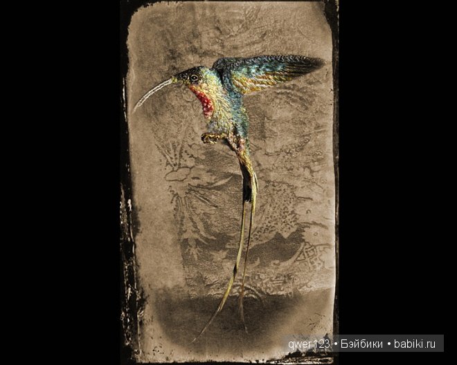 Изумительная вышивка Michele Carragher | Бэйбики Изумительная вышивка Michele Carragher (фото 9)