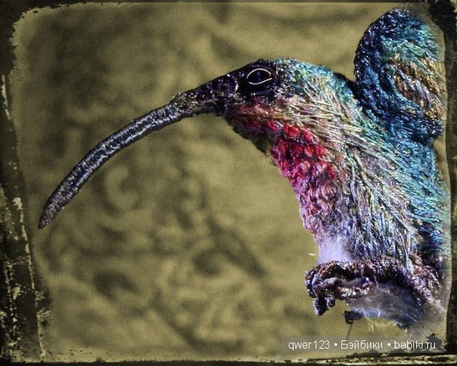 Изумительная вышивка Michele Carragher | Бэйбики Изумительная вышивка Michele Carragher (фото 10)