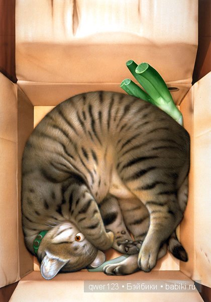 Иллюстратор Makoto Muramatsu (Япония) и её кошки