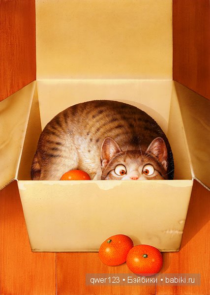 Иллюстратор Makoto Muramatsu (Япония) и её кошки