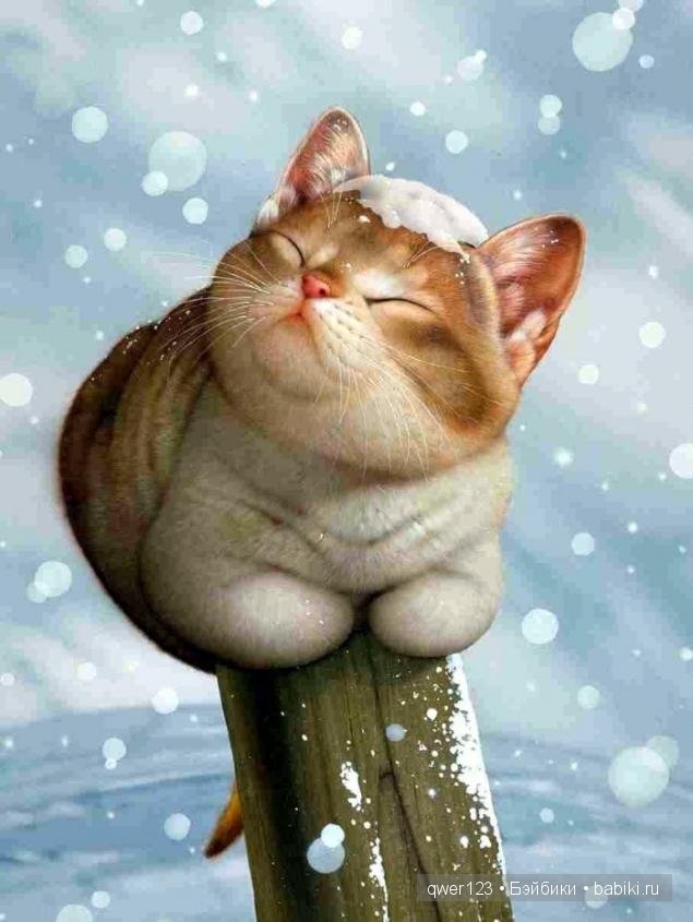 Иллюстратор Makoto Muramatsu (Япония) и её кошки (фото 10)