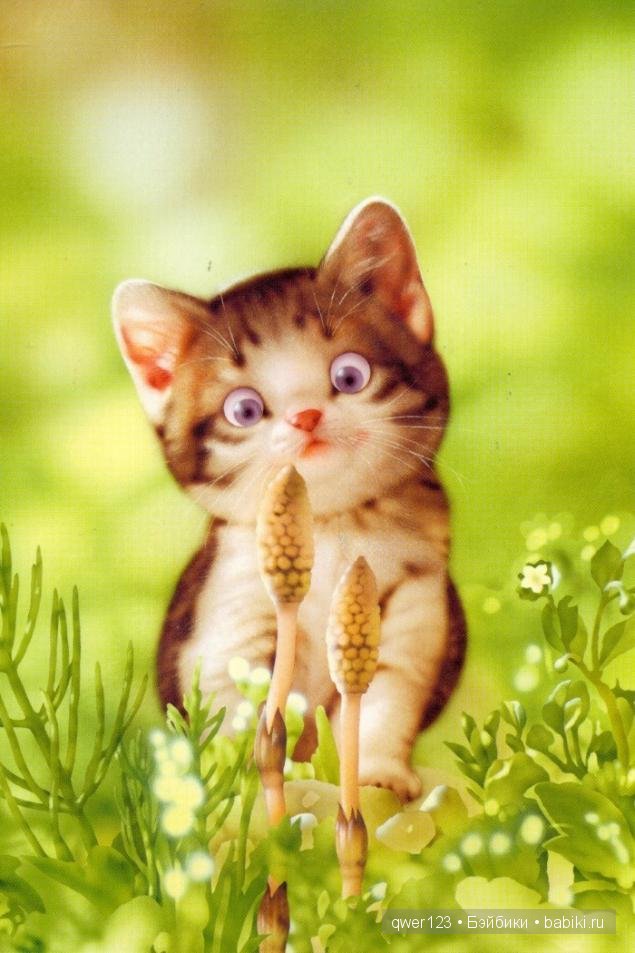 Иллюстратор Makoto Muramatsu (Япония) и её кошки (фото 6)