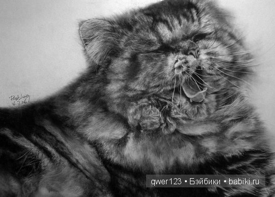 Удивительно реалистичные рисунки карандашом от Пол Лунг (Paul Lung) (фото 6)