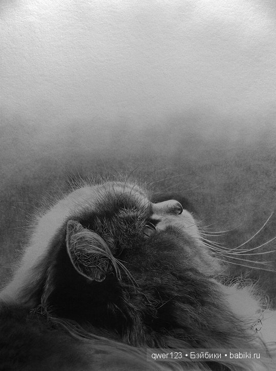 Удивительно реалистичные рисунки карандашом от Пол Лунг (Paul Lung) (фото 10)