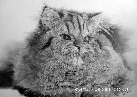 Удивительно реалистичные рисунки карандашом от Пол Лунг (Paul Lung)