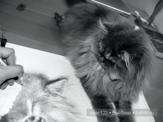 Удивительно реалистичные рисунки карандашом от Пол Лунг (Paul Lung)