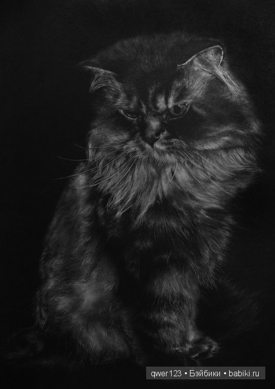 Удивительно реалистичные рисунки карандашом от Пол Лунг (Paul Lung)