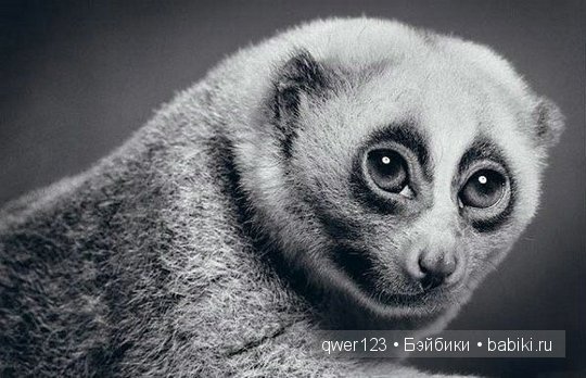 Удивительно реалистичные рисунки карандашом от Пол Лунг (Paul Lung)