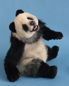 Авторские игрушки от Melisa Nichols