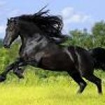 Девочки из Питера отзовитесь!!! Нужна ваша помощь!!!