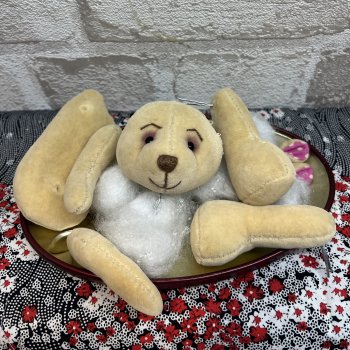 Реставрация пострадавшего , от зубов собакена