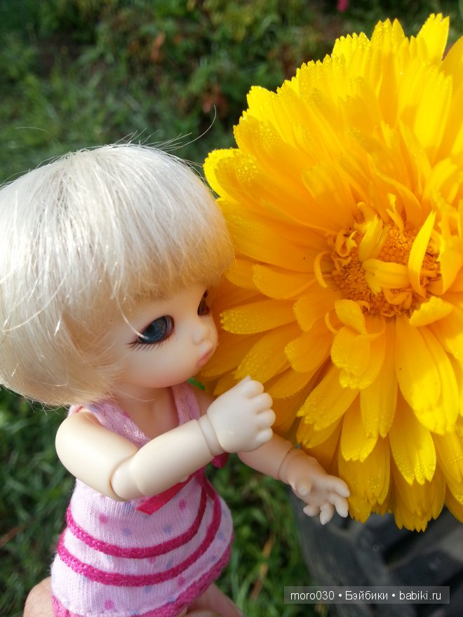 Pukipuki Darjeeling Fairyland