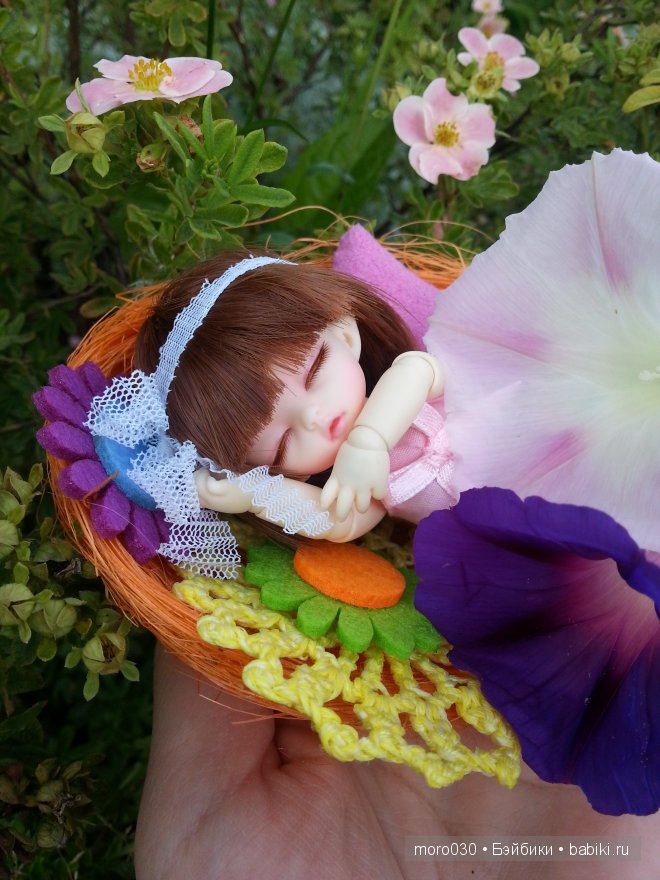 Pukipuki Darjeeling Fairyland