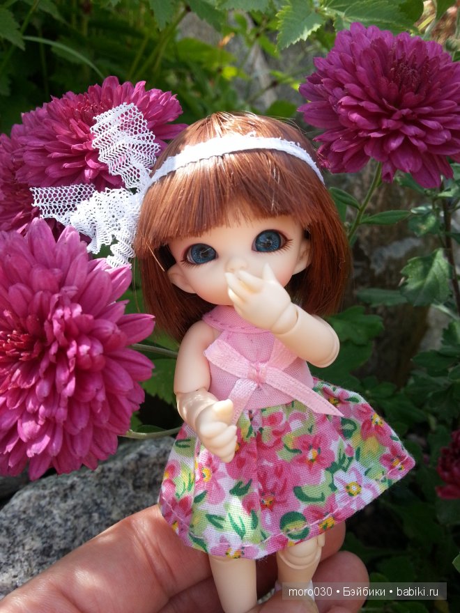 Pukipuki Darjeeling Fairyland