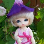 Малышка Дарина. Pukipuki Darjeeling Fairyland