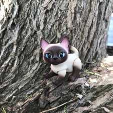 Котенок Зара