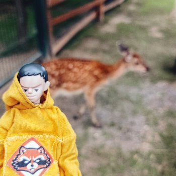 Дик. Экопарк