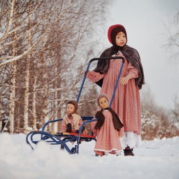 Зимняя прогулка