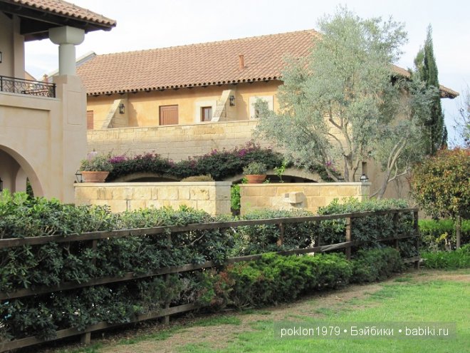 Кипр моими глазами или как я люблю этот замечательный остров (фото 5)