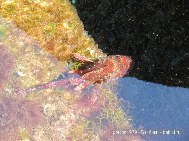 Кипр моими глазами или как я люблю этот замечательный остров