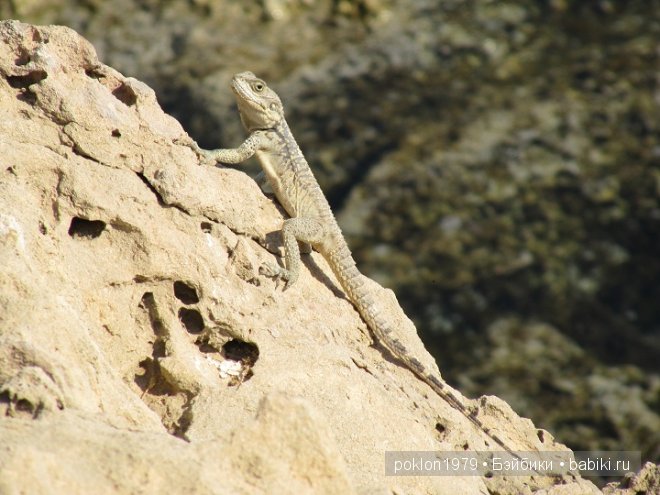 Кипр моими глазами или как я люблю этот замечательный остров