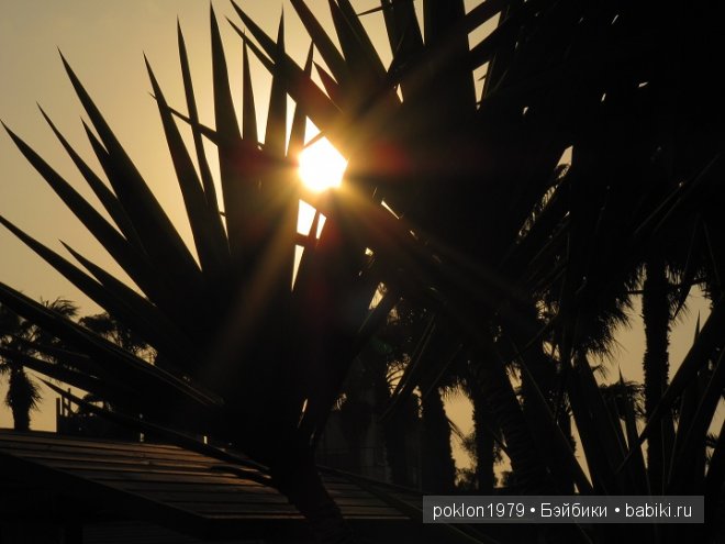 Кипр моими глазами или как я люблю этот замечательный остров